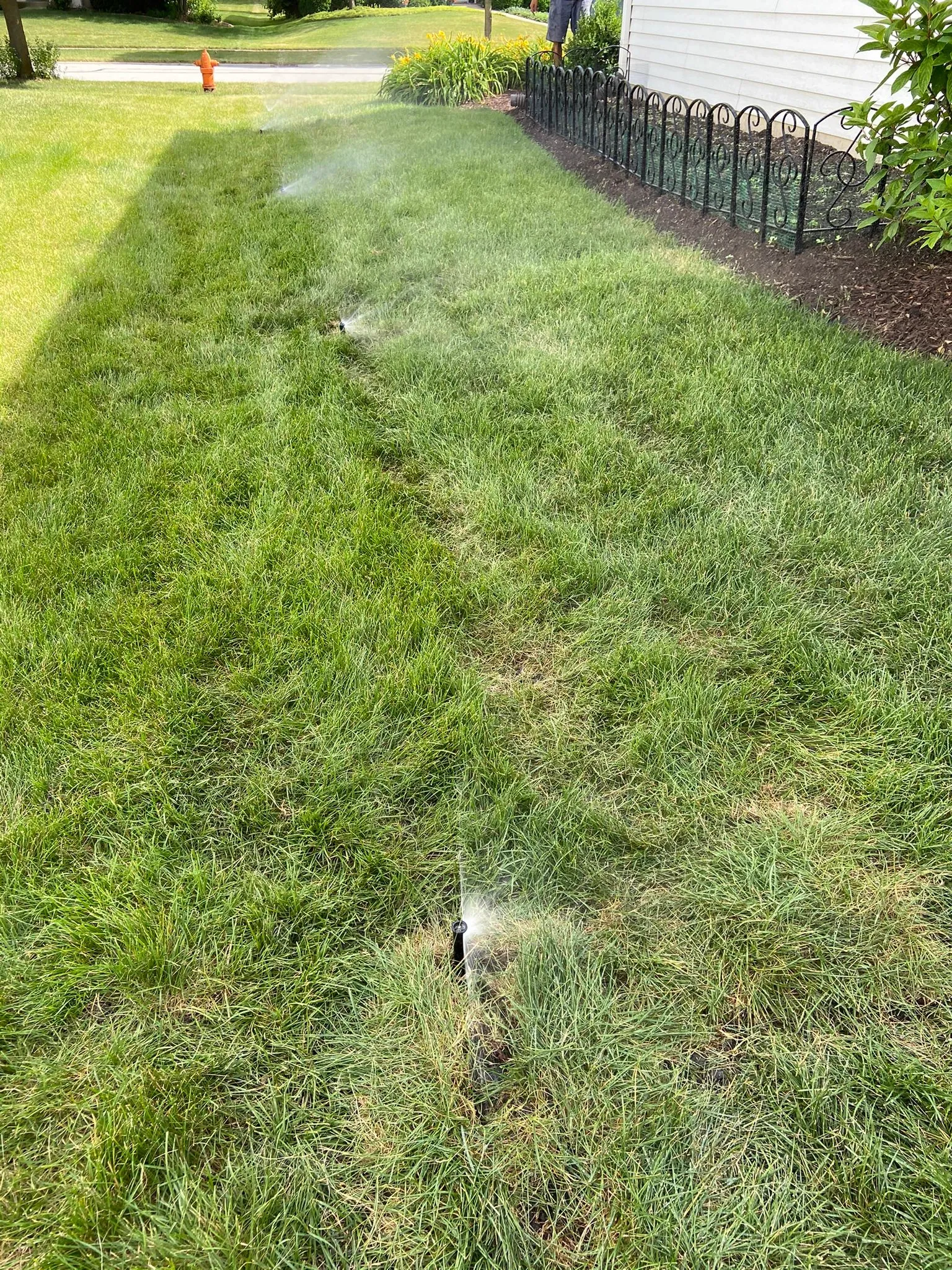 Commercial Spray Test · Aurora