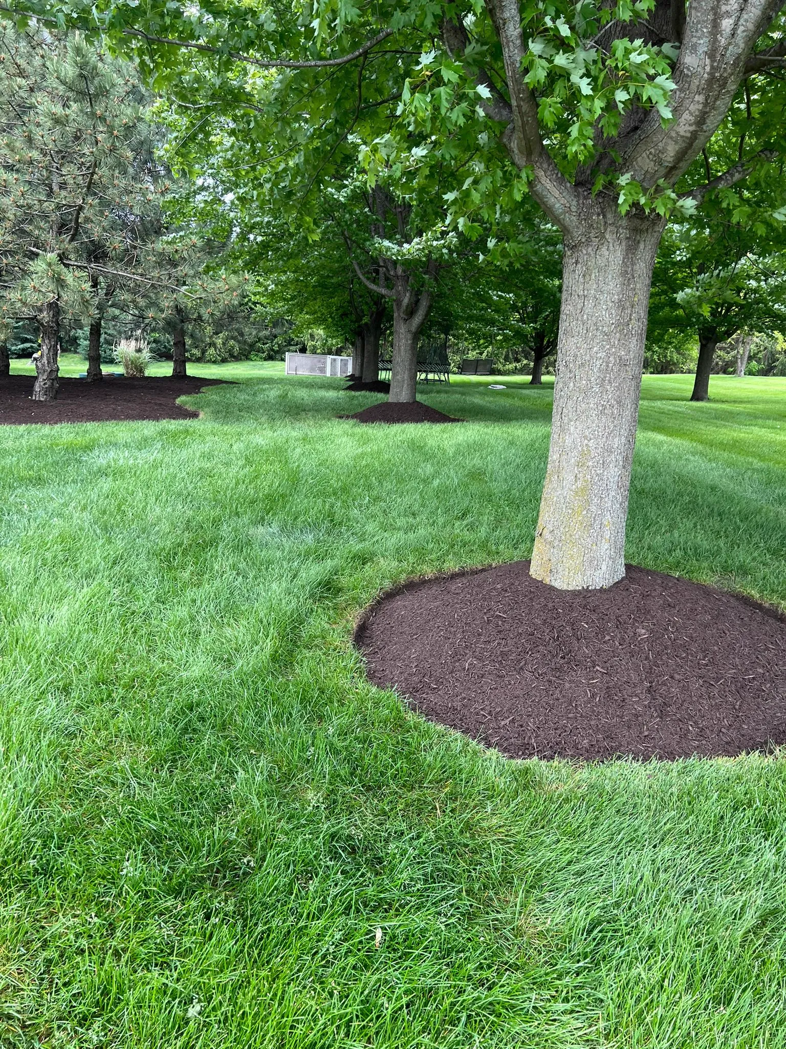 Full Lawn Coverage Test · Plainfield