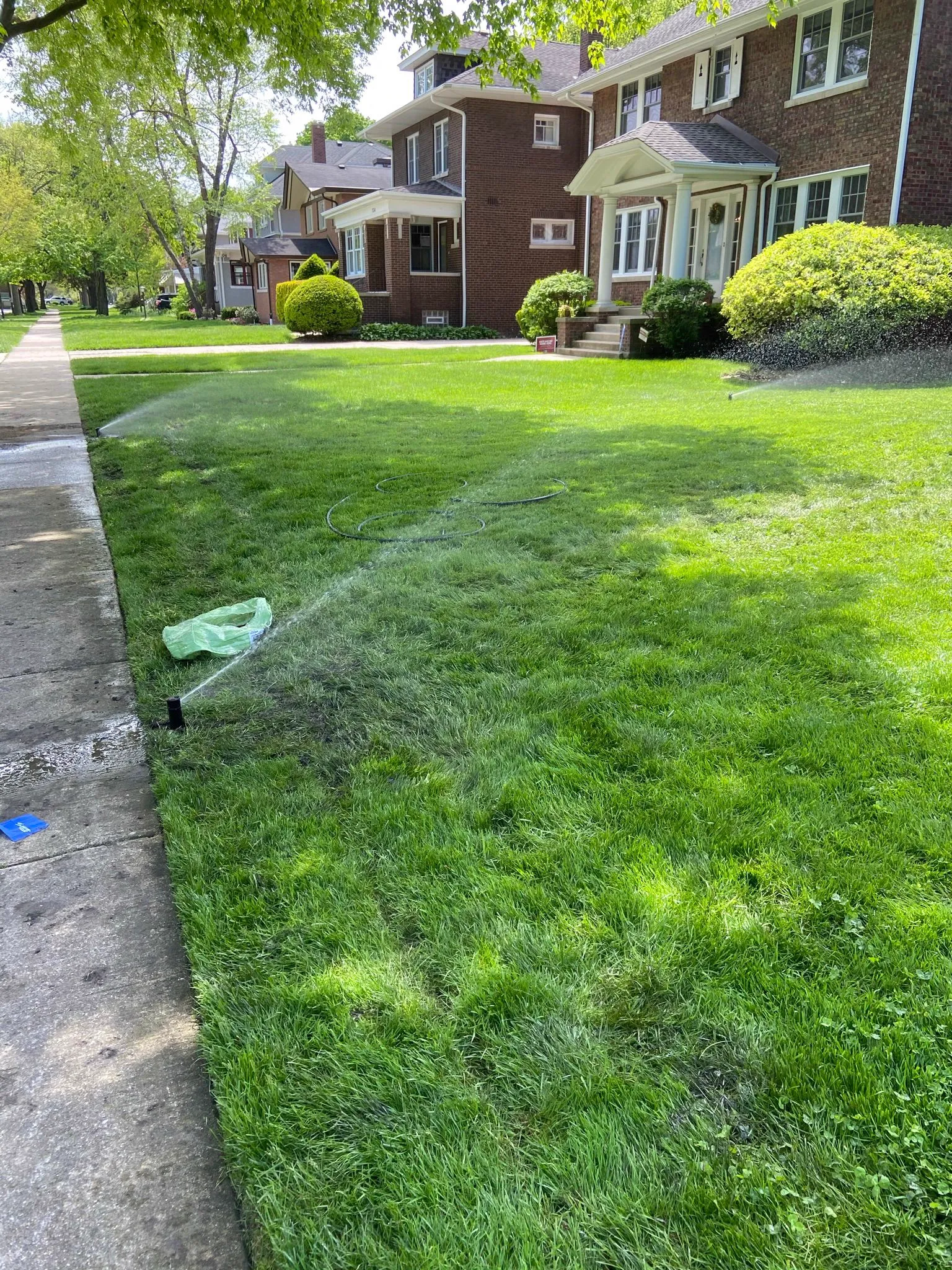 Lush Lawn After Install · Oswego