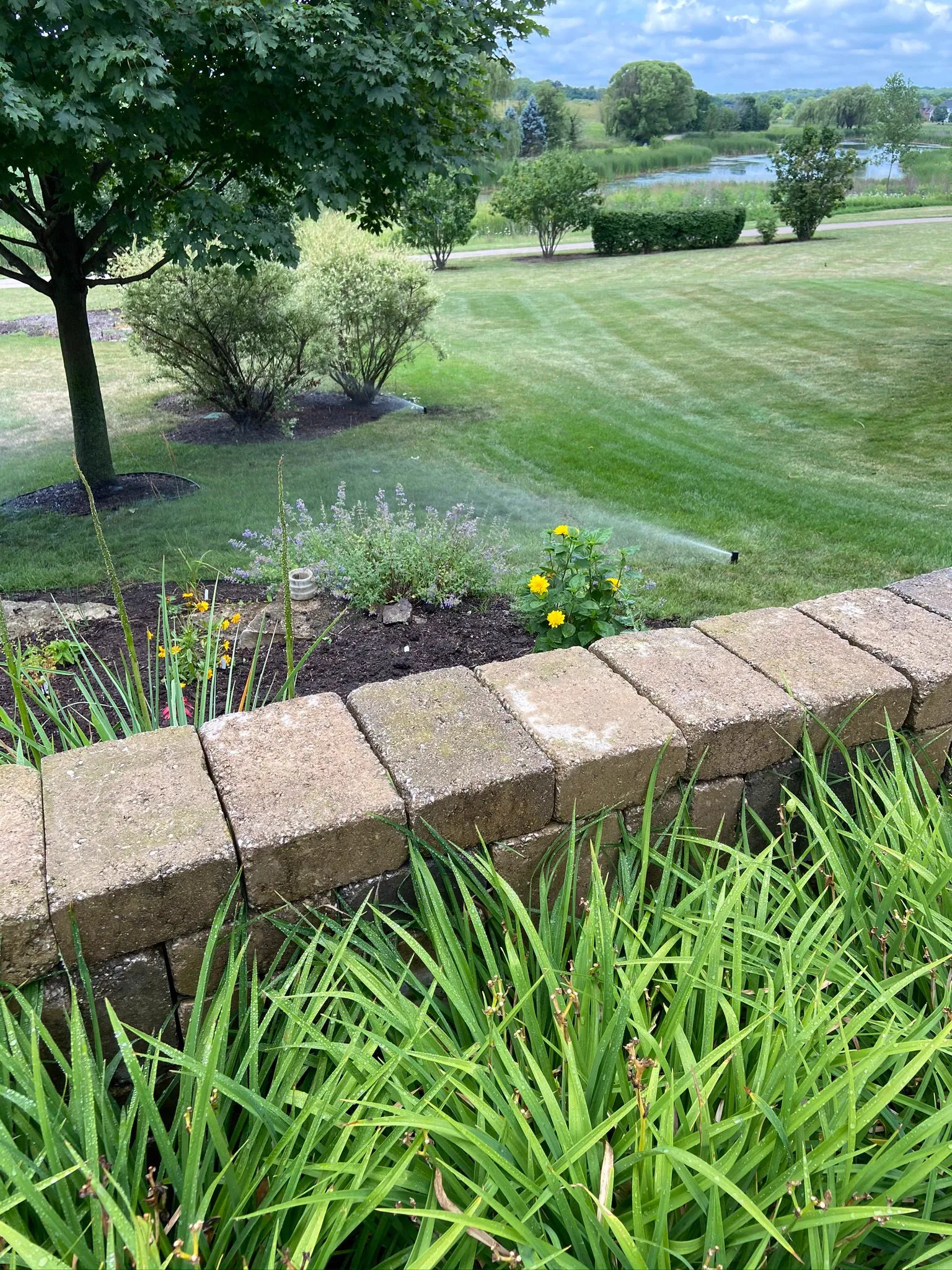 Side Yard Coverage · Naperville