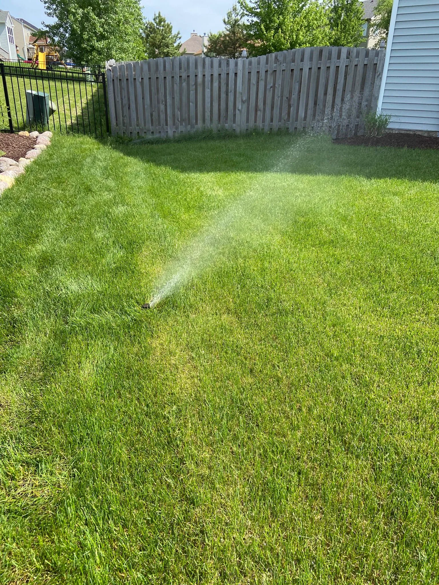 Spring Start-Up · Naperville